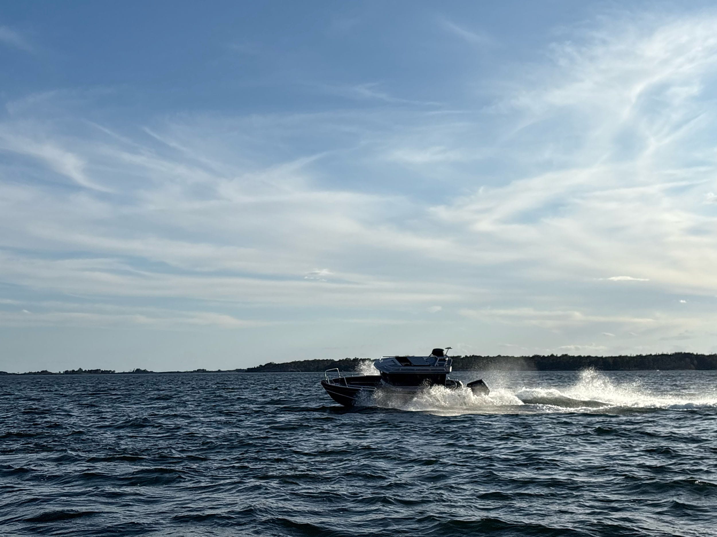 Lynxmar-C22-10-hos-brandt-bat