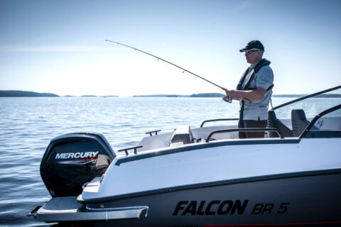 Falcon BR5 - Mercury F80hk